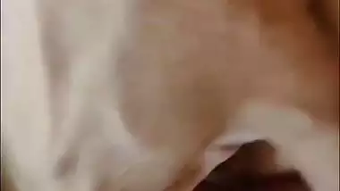 Boob squeezing and pussy rubbing of desi nude milf